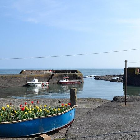 Villa Harbour View Johnshaven Esterno foto