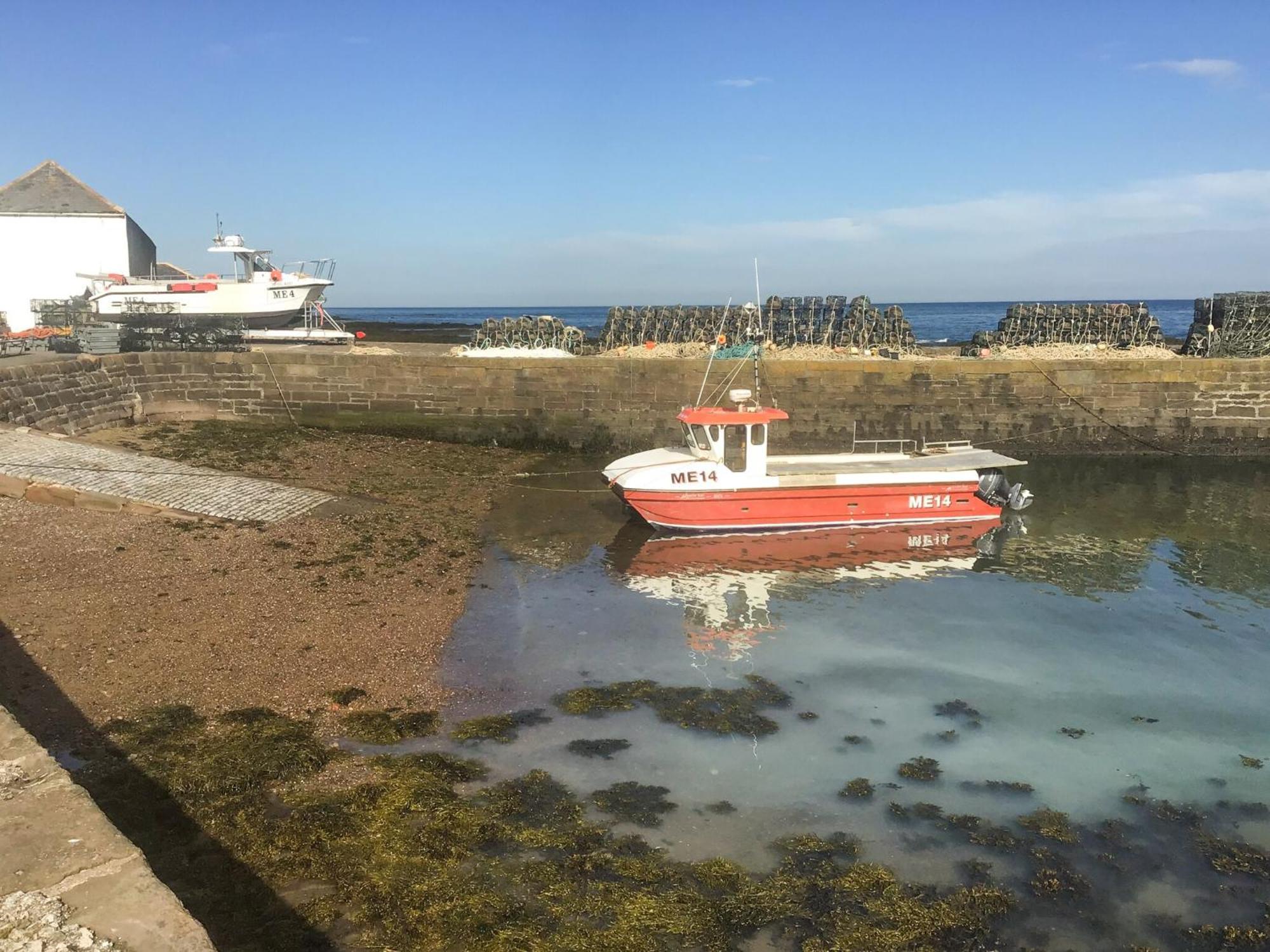 Villa Harbour View Johnshaven Esterno foto
