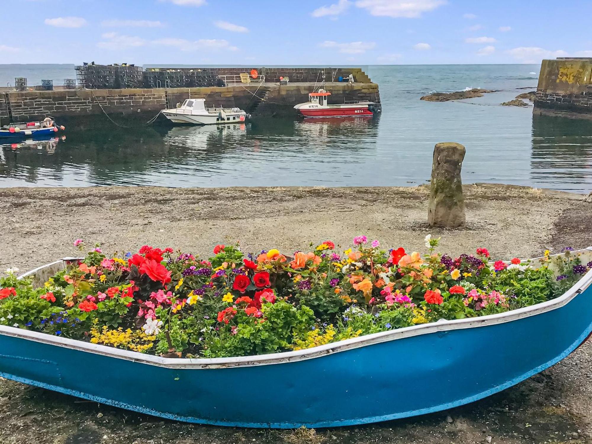 Villa Harbour View Johnshaven Esterno foto
